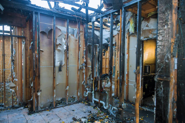 Professional Odor Removal technician working in Red Hill, PA