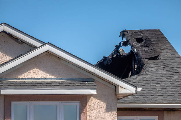 Top rated local Odor Removal specialists in Red Hill, PA